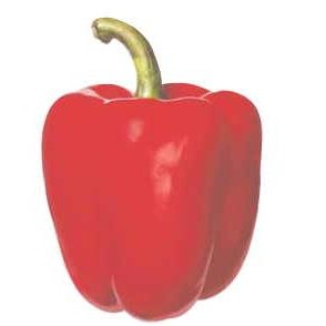 Bell Pepper Promotional Magnet w/ Strip Magnet (4 Square Inch)