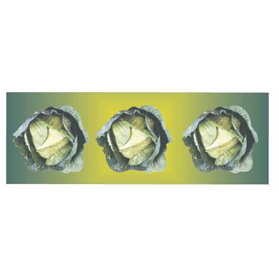 Cabbage Panoramic Metal Photo Magnet (1 5/8"x4 5/8")