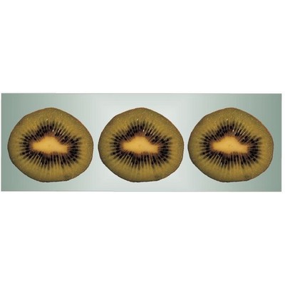 Kiwi Panoramic Badge w/ Bar Pin