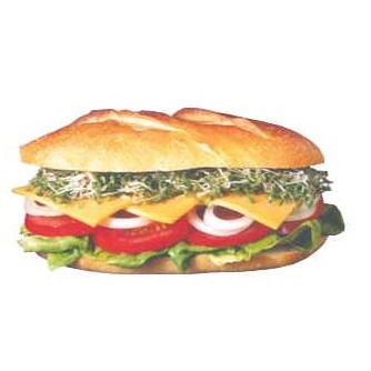 Sub Sandwich Executive Magnet w/ Full Magnetic Back (6 Square Inch)