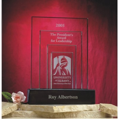 Leadership Award (9"x12")