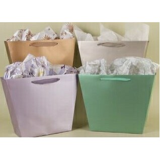 Trapezoid Debbie Designer Eurototes Bag (13"x9"x4"x10")