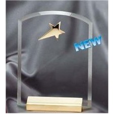 Under the Stars Crystal Award