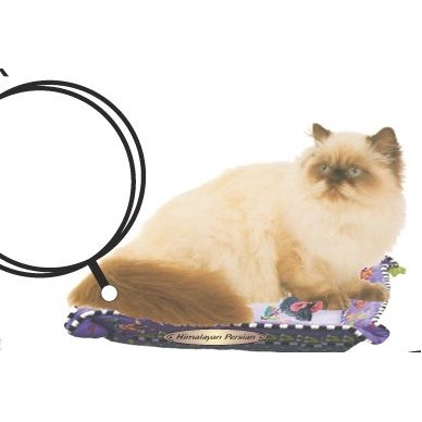 Himalayan Persian Cat Keychain w/Mirrored Back (10 Square Inch)