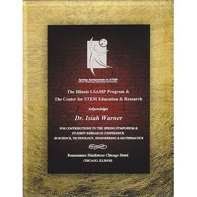 Acrylic Sienna/Gold Lustre Plaque Series w/Easel Back, Small (6-1/2"x8-1/2")