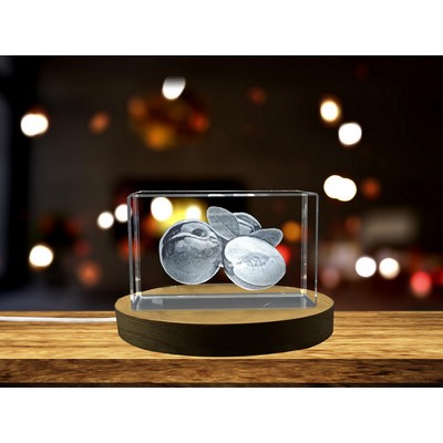 Plum Fruit 3D Engraved Crystal Trophy Award w/LED Base