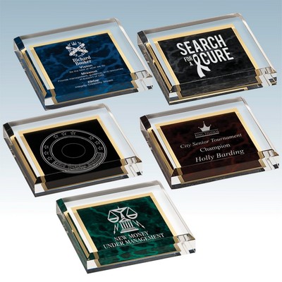 Painted Acrylic Paperweight