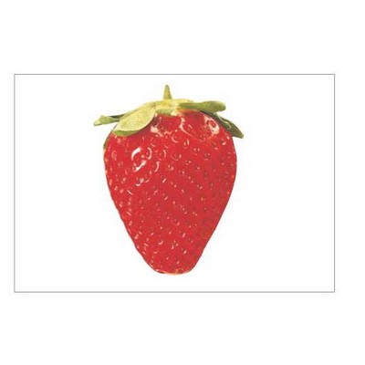 Strawberry Rectangle Metal Photo Magnet (2"x3")