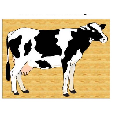 Cow Metal Photo Magnet (2½"x3½")