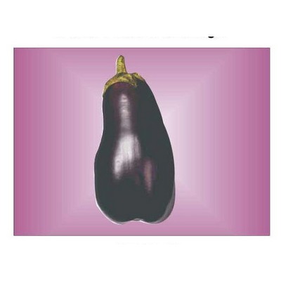 Eggplant Metal Photo Magnet (2 1/2"x3 1/2")