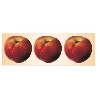 Peach Panoramic Metal Photo Magnet (1 5/8"x4 5/8")
