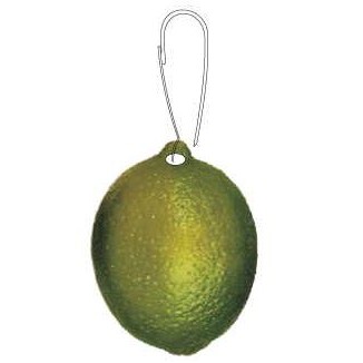 Lime Zipper Pull