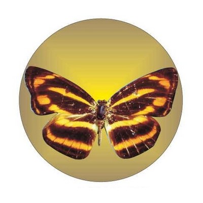 Brown & Yellow Butterfly Round Metal Photo Magnet (2 1/2")