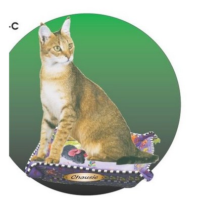 Chausie Cat Acrylic Coaster w/Felt Back