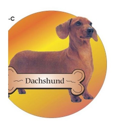 Dachshund Dog Acrylic Coaster w/Felt Back
