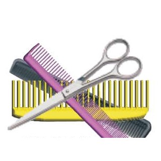 Beautician Combo Executive Magnet W/ Full Magnetic Back (10 Square Inch)