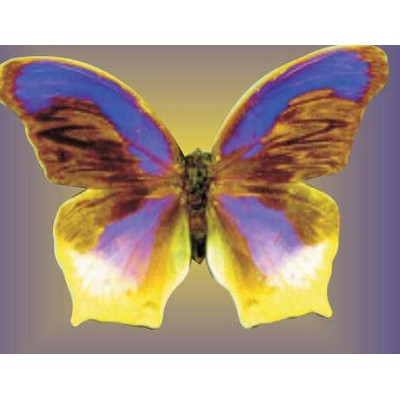 Purple & Yellow Butterfly Metal Photo Magnet (2½"x2½")