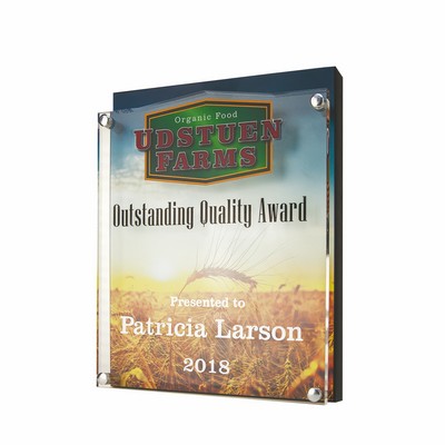 Carved Edges Shimmer Desk Award (8"x10")