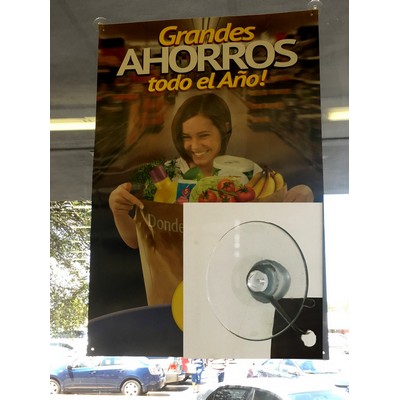 Poster 24" x 36" w/Suction cups