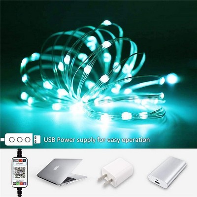 32.8' USB LED String/Christmas Lights w/100 LEDs