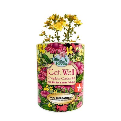 Get Well Garden in Eco-Friendly Grocan