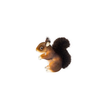 Dark Brown Squirrel