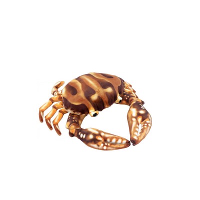 Brown Crab