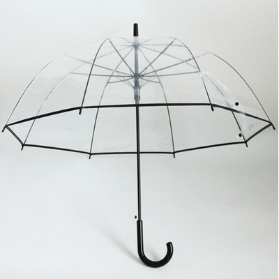 Bubble Umbrella