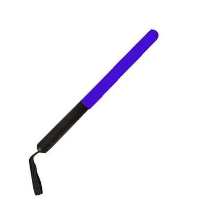 Training Stick