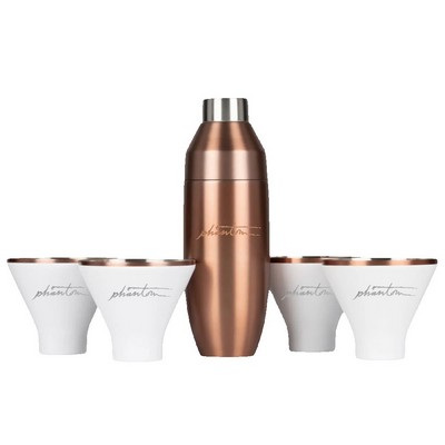 Insulated Cocktail Shaker and Martini Tumbler Barware Set