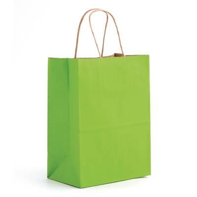 Matte Tint Varnish Bags (8"x4 3/4"x10 1/2")