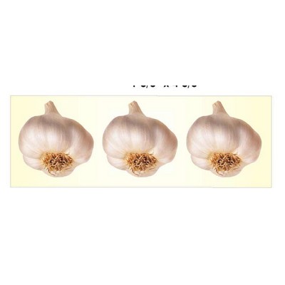 Garlic Panoramic Metal Photo Magnet (1 5/8"x4 5/8")