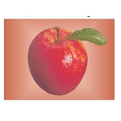 Apple Rectangle Badge w/ Bar Pin (2 1/2"x3 1/2")