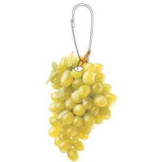 Green Grapes Zipper Pull