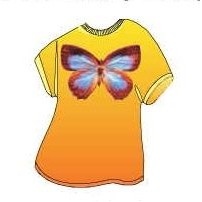 Blue & Brown Butterfly T-Shirt Lapel Pin