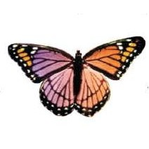 Purple & Pink Butterfly Lapel Pin