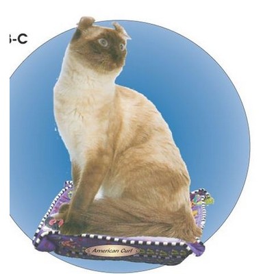 American Curl Cat Acrylic Coaster w/Felt Back
