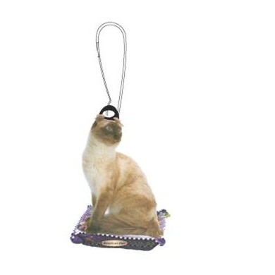American Curl Cat Zipper Pull