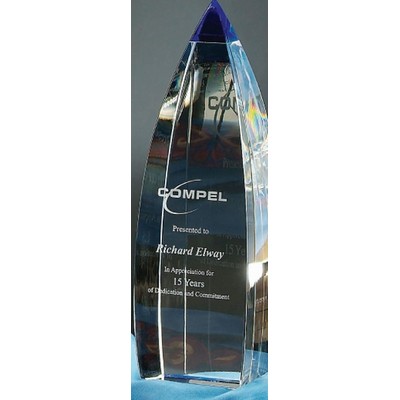 Vetri Award (11" x 3¼")