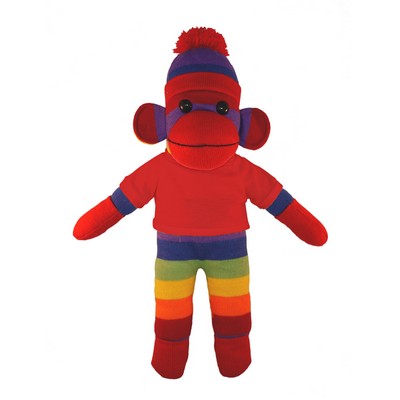Rainbow Sock Monkey with Tee