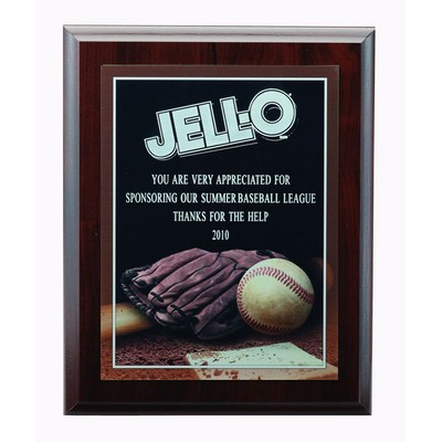 Baseball Photo Sports Plaque w/Laser Engraved Plate (9"x 12")