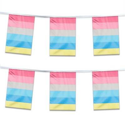 60' 1ply ePoly Genderflux Pride Streamer