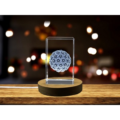 Papilloma Virus 3D Engraved Crystal Trophy - Artistic Educational Display