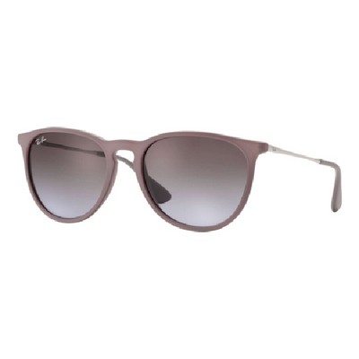 Ray-Ban Erika Classic Sunglasses