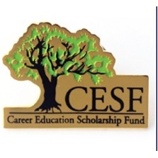 1 1/8" Custom Iron Lapel Pin w/Soft Enamel