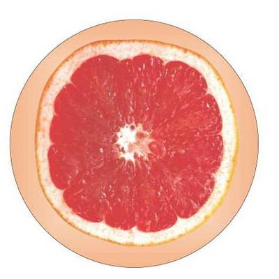 Grapefruit Round Metal Photo Magnet (2 1/2")