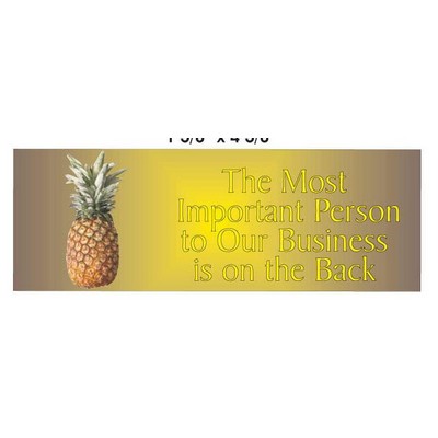 Pineapple Panoramic Photo Hand Mirror (1 5/8"x4 5/8)