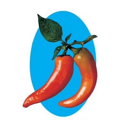 Chili Pepper Promotional Magnet w/ Strip Magnet (10 Square Inch)