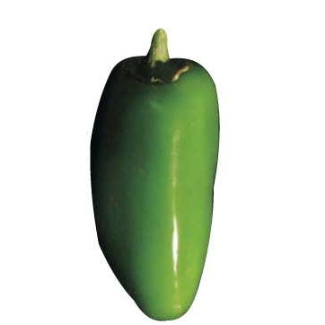 Jalapeno Promotional Magnet w/ Strip Magnet (10 Square Inch)