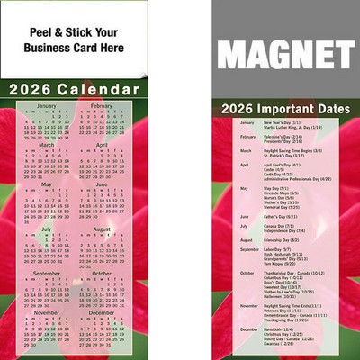Peel & Stick Full Color Calendar Magnet (3 1/2"x8 1/2")